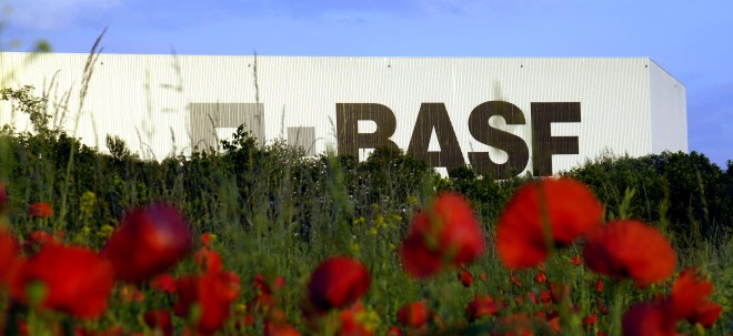 Geschäft ausgebaut BASF eröffnet neue Fabrik für Elektromaterialien in Südkorea