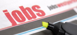 Robuster Arbeitsmarkt: Wifo: Höchster Beschäftigungszuwachs in Österreich seit 2008