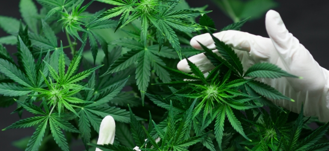 Cannabis-Aktie im Blick Khiron Life Sciences: Ein Cannabis-Zwerg mit großem Potential?