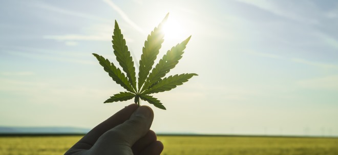 Vergleichsweise günstig So sind die Aussichten für die eher unbekannte Cannabis-Aktie HEXO