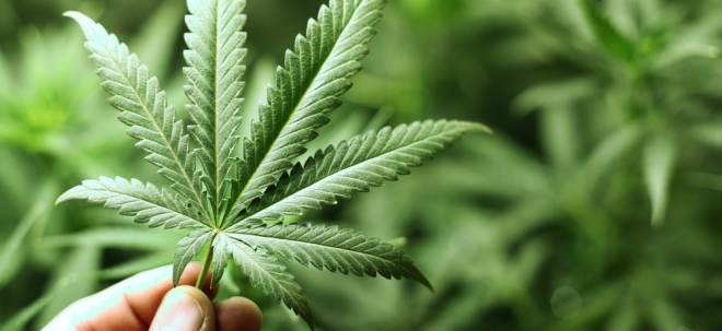 Pioniere der Branche Empfehlungen für 2019: Die Prognosen der Top-Cannabis-Analystin