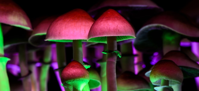 Neuer Börsenhype? Champignon Brands-Aktie: Folgt nach dem Cannabisboom nun der Run auf Pilze?
