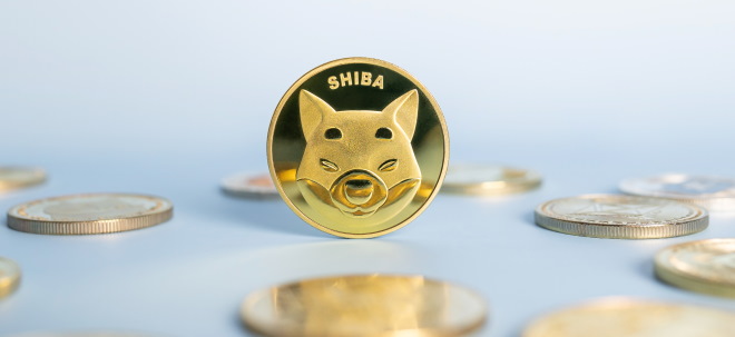 SHIBA INU: So viel Wert wäre mit einem Investment von vor 5 Jahren verloren gegangen